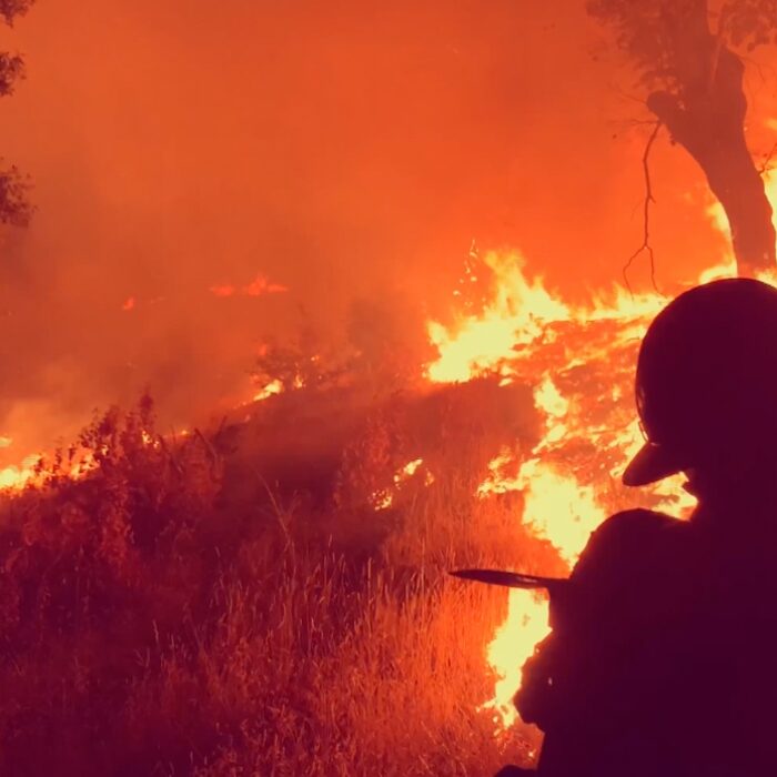 Ventura Firefighter Caleb Amico Works to Contain the Thomas Fire