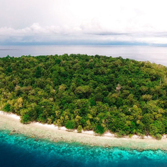 Indonesian archipelago widi reserve