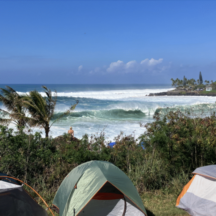 Eddie Aikau spectators