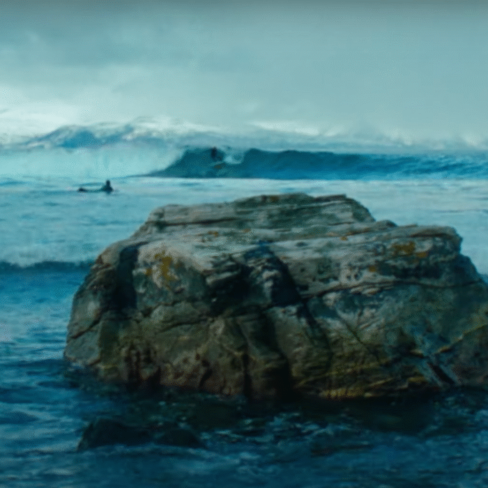 Arctic roses surf