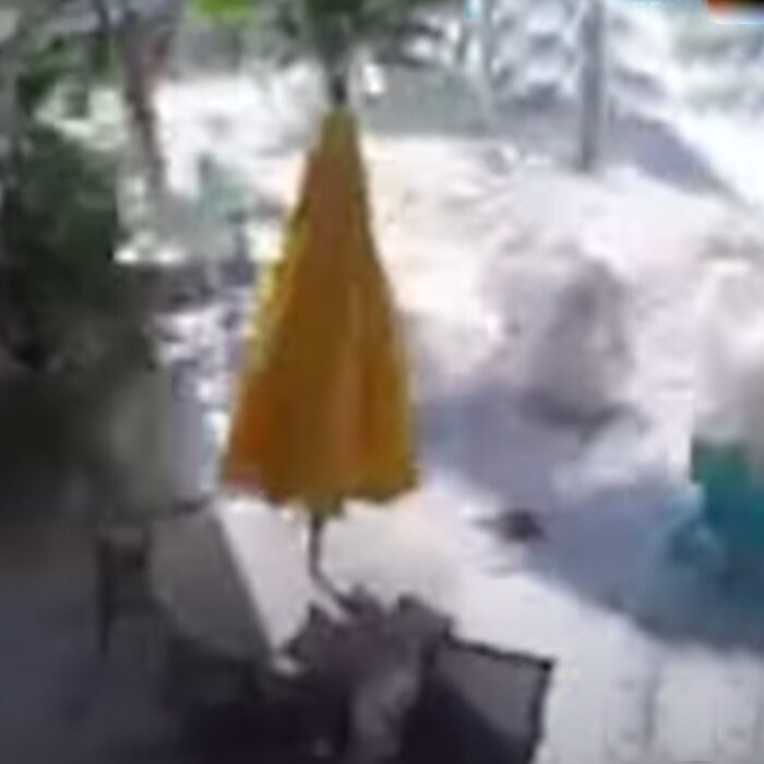 Hammock Saves Woman From Rogue Wave on North Shore During XXL Swell