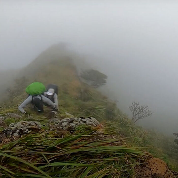 John John Florence climbing ridges