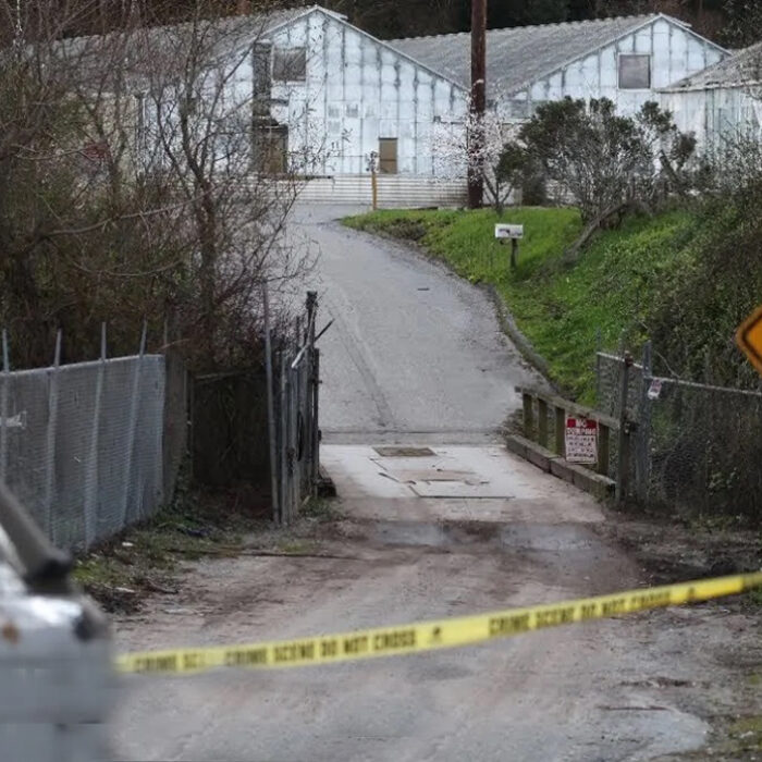 7 People Killed in Half Moon Bay Mass Shooting, Just Miles Away from Maverick's