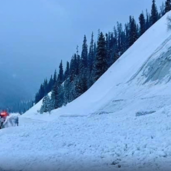 avalanche covers road in colorado