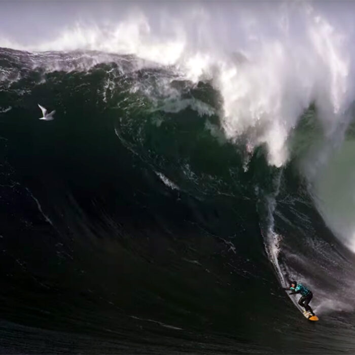 Tim Bonython Just Documented the 'Cortes Bank of Ireland'