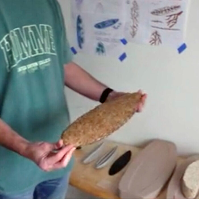 Student Designs Mushroom Surfboard, Aims at Mainstream Production
