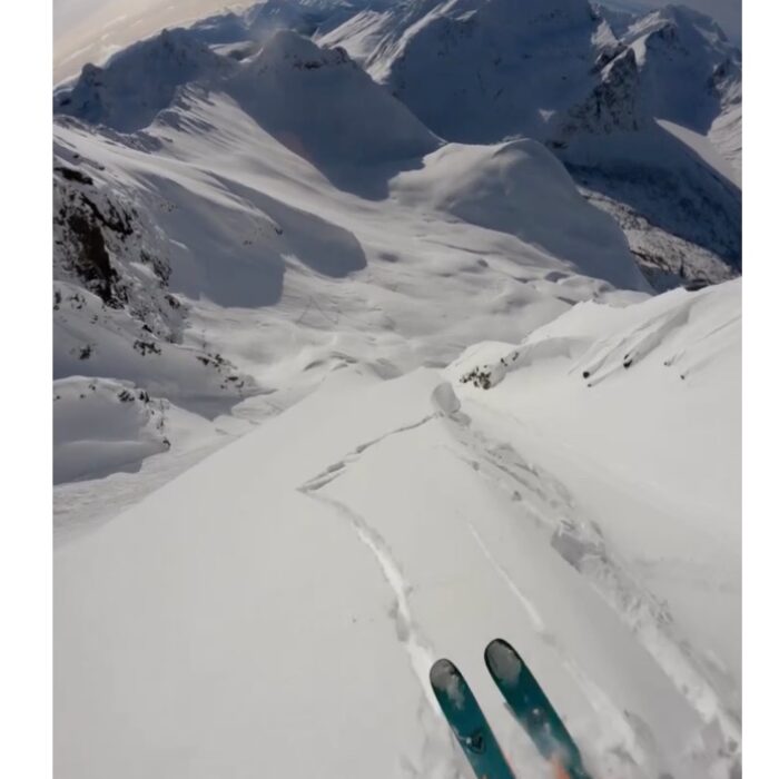 Jacob Wester Avalanche