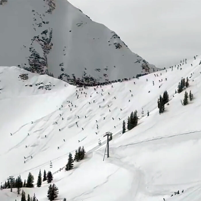 Watch Skiers Tear Up This Snowbird Run Like Ants at a Picnic as the Gate Drops