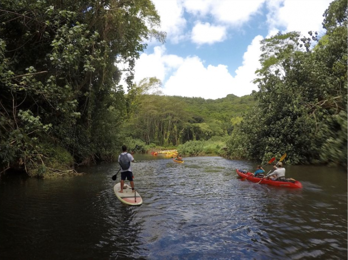 A SUP Adventure to Kauai's Secret Falls - Vimarsana News