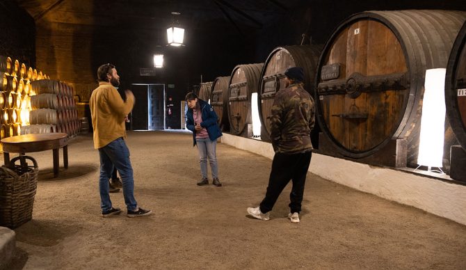 Winery tour in Portugal