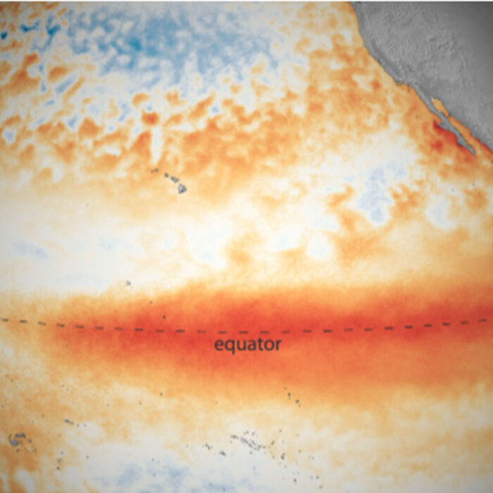 climate models show a good chance of a strong El Niño year.