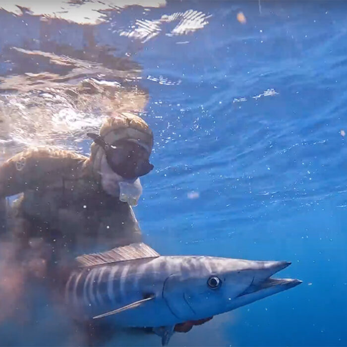 Mark Healey spearfishing for wahoo
