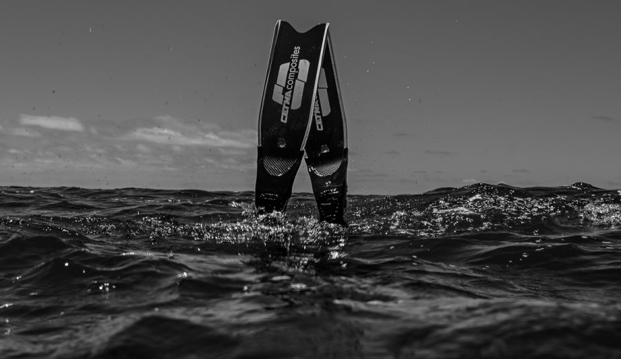 This Laguna Beach Freedive Club Is on a Mission to Remove Lead From the ...
