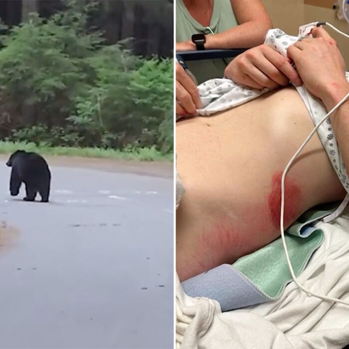 Canadian cyclist after t-boning black bear