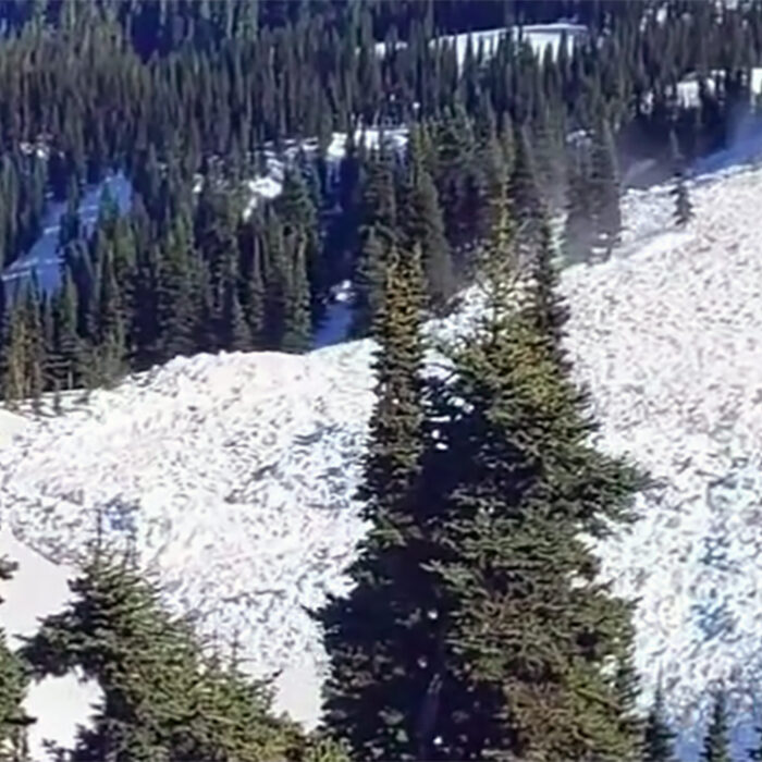Crystal Mountain Officials Capture Footage of Massive Inbounds Avalanche