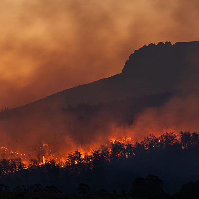 global warming bush fires in Tasmania