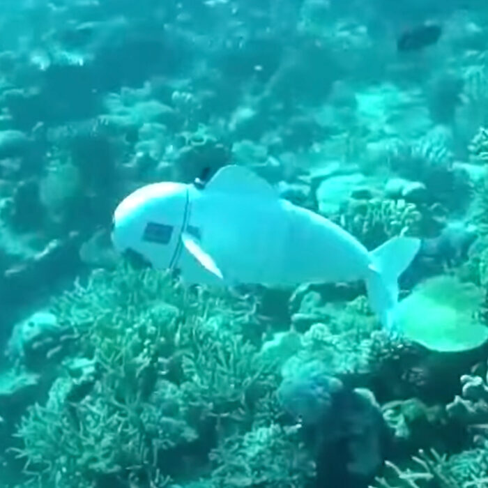 Autonomous robot fish.