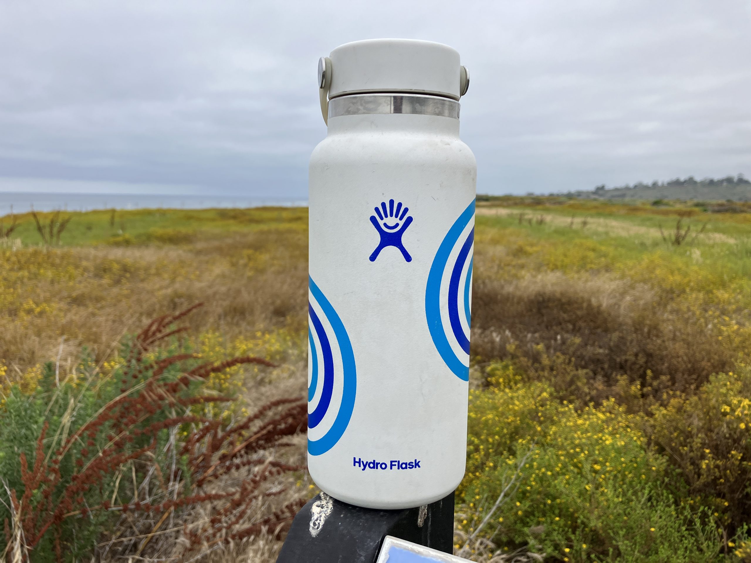 Top 10 Best Reusable Water Bottles 2023 - EN