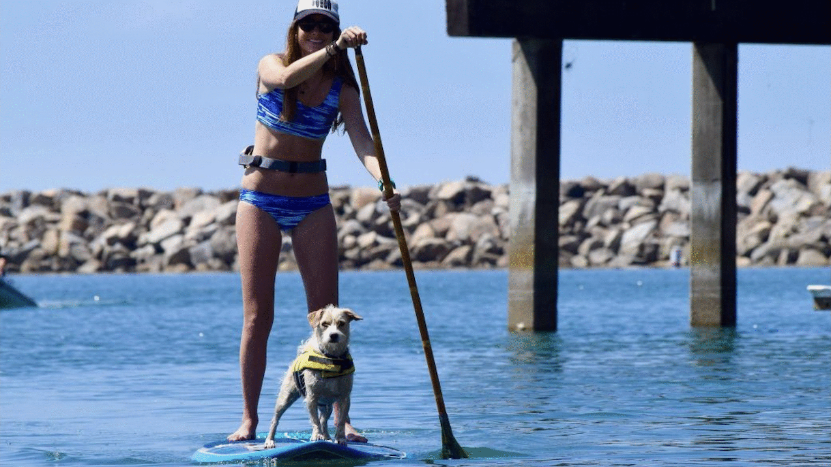 Best dog gear paddleboarding dog