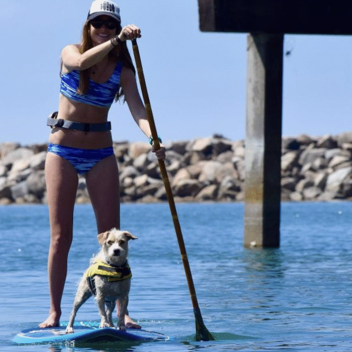 Best dog gear paddleboarding dog