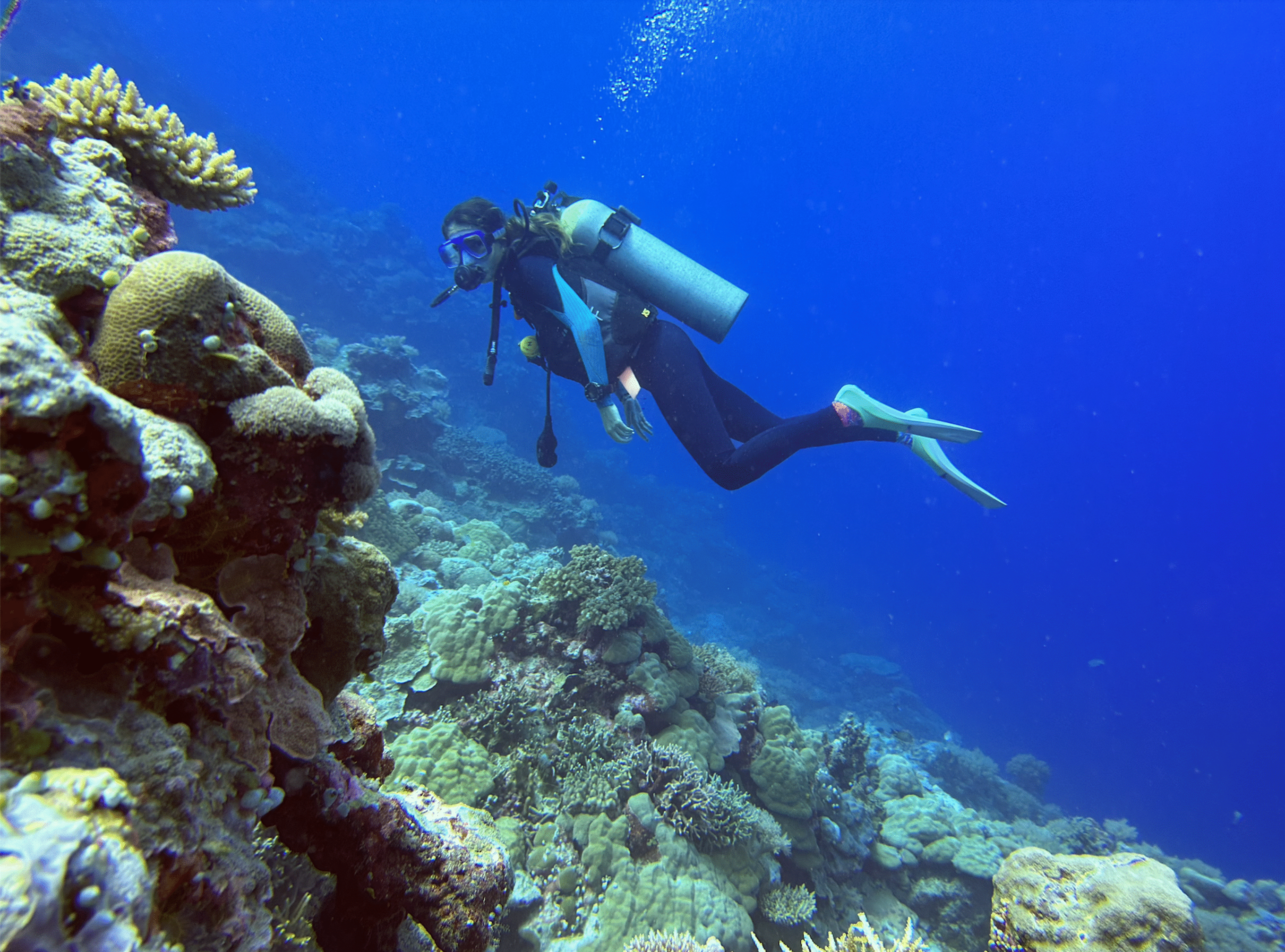Scuba diver