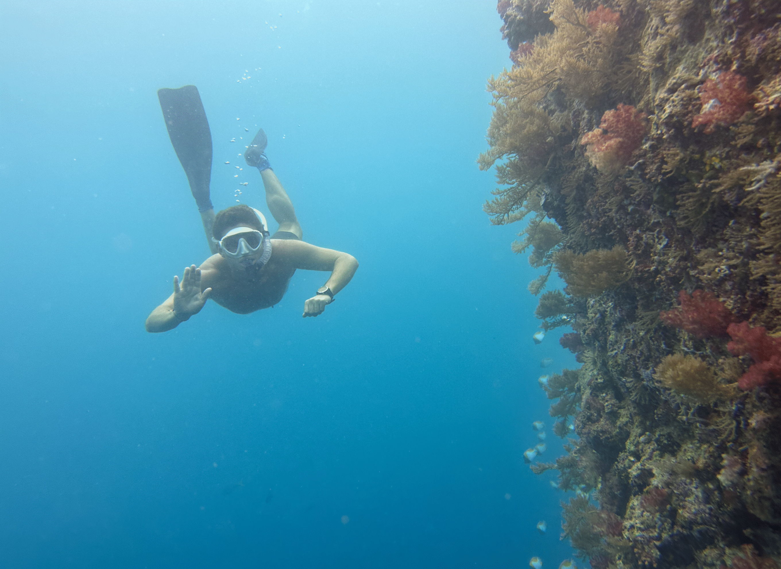 Snorkeler underwater