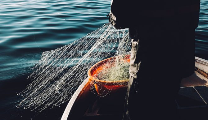 Source: Fredrik Öhlander // Unsplash