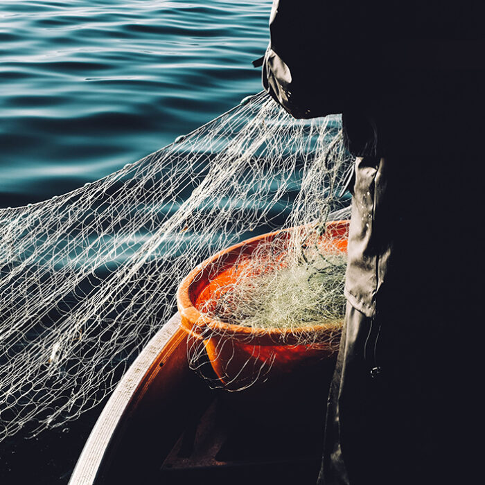 Source: Fredrik Öhlander // Unsplash
