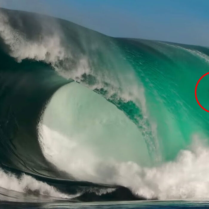 nate florence surfing shipstern bluff