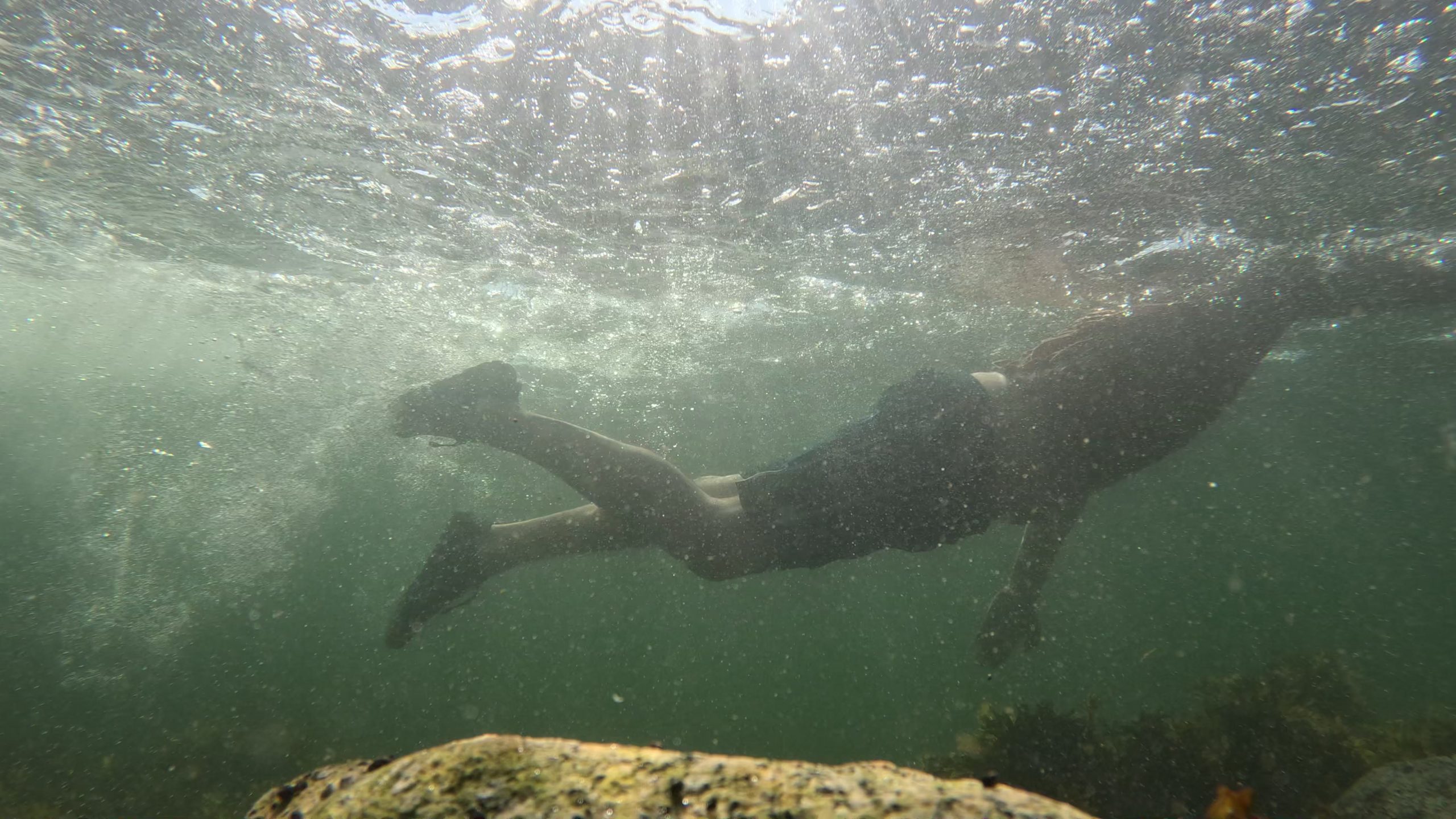 an underwater photograph of a man swimming underwater wearing the xero aqua x water shoes