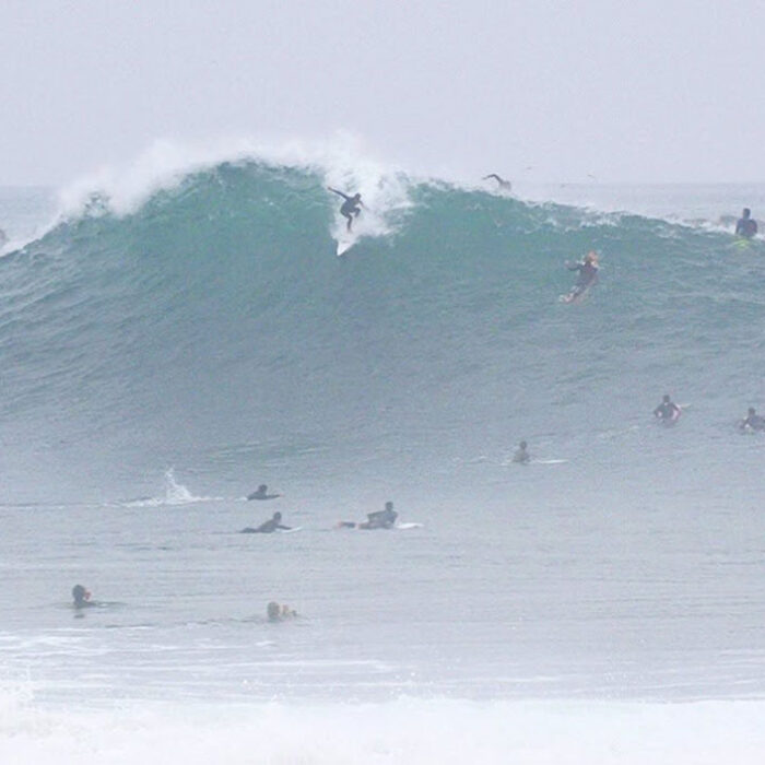 surfing at the Wedge