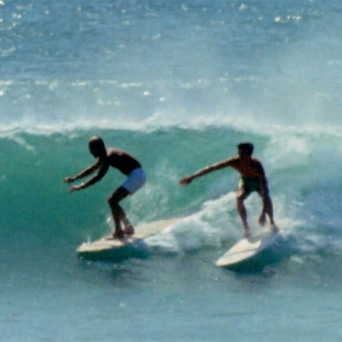 Birth of the Endless Summer film review