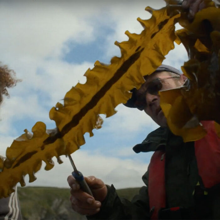 For the Love of the Sea by Patagonia Films