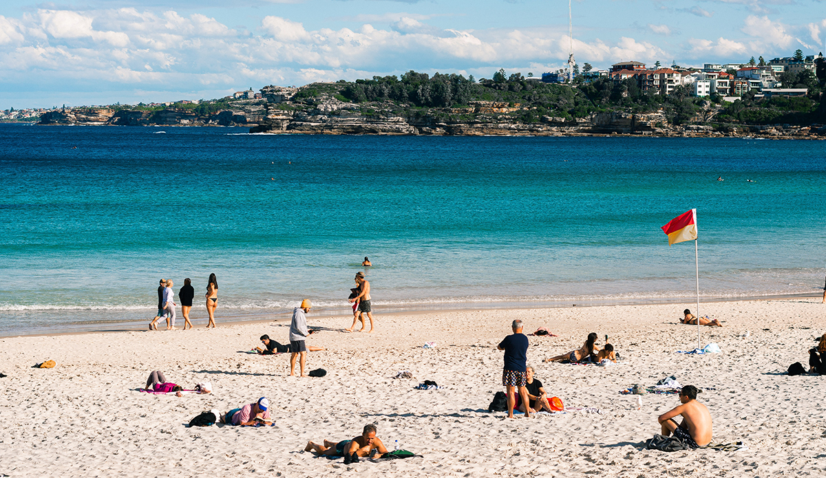 Sydney Councils Oppose Shark Nets, Push For Alternatives - Vimarsana News