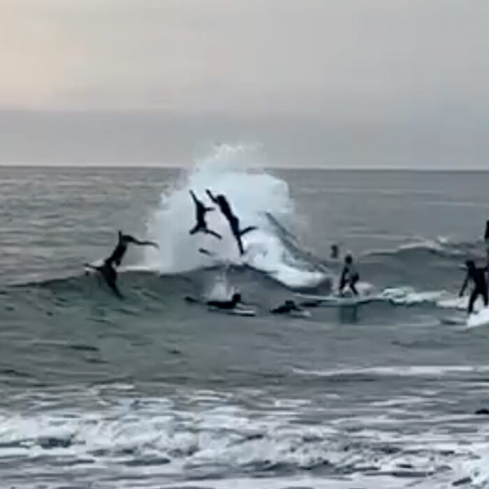 Beacons surfers