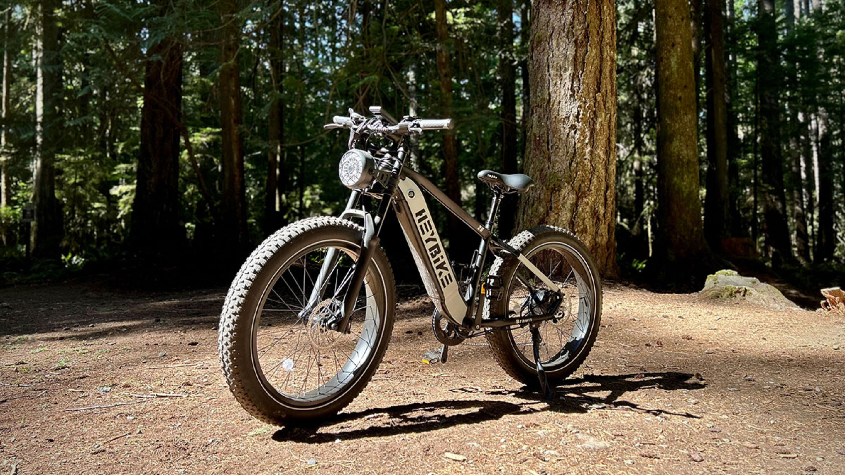 Heybike Brawn