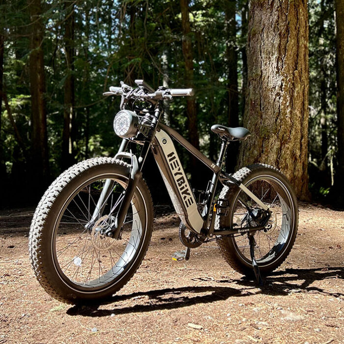 Heybike Brawn