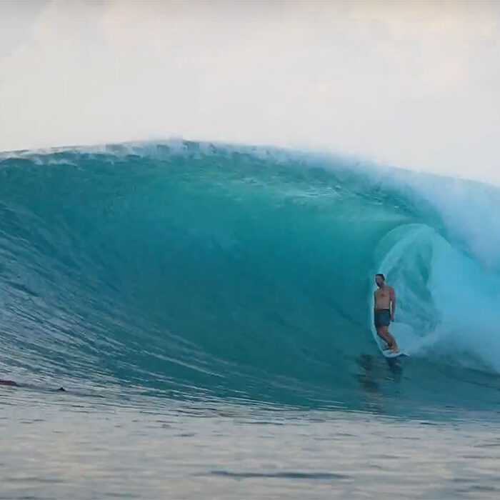 Hollow trees surfing