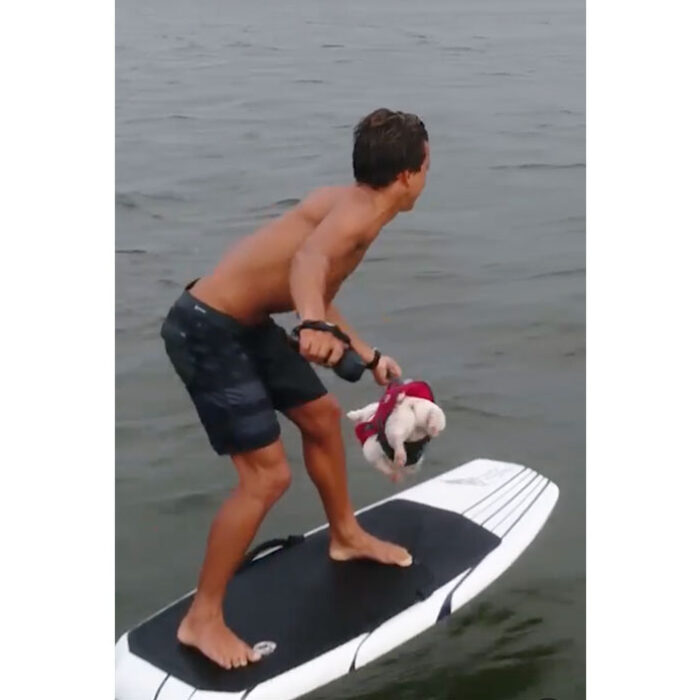 Kai Lenny e-foiling with dog