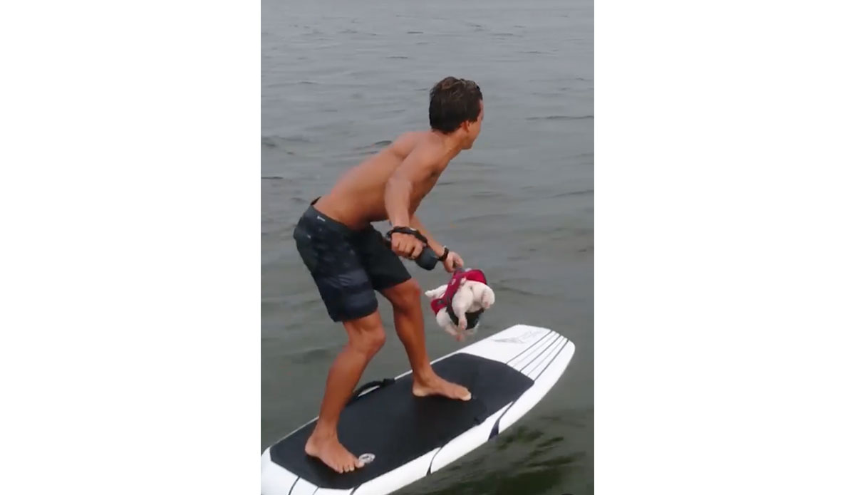 Kai Lenny Went Tandem E-Foiling With a French Bulldog - Vimarsana News