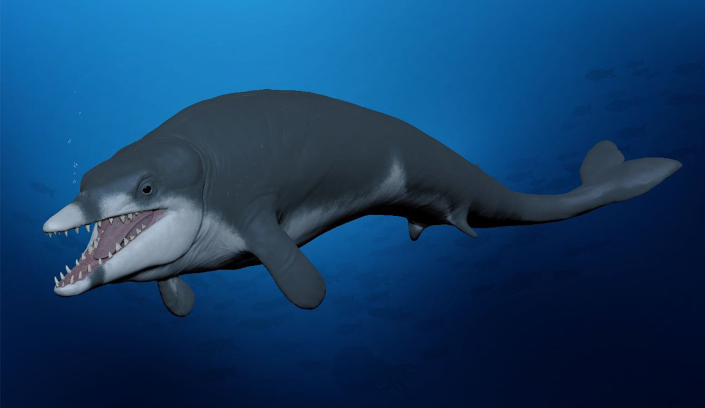 Tiny Ancient Whale Discovered in Egypt