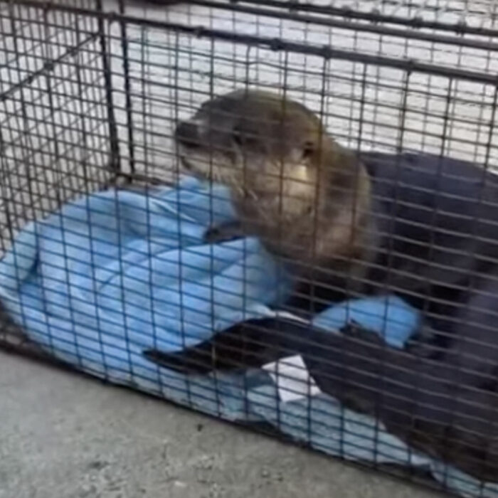 Photo: WPTV News // YouTube