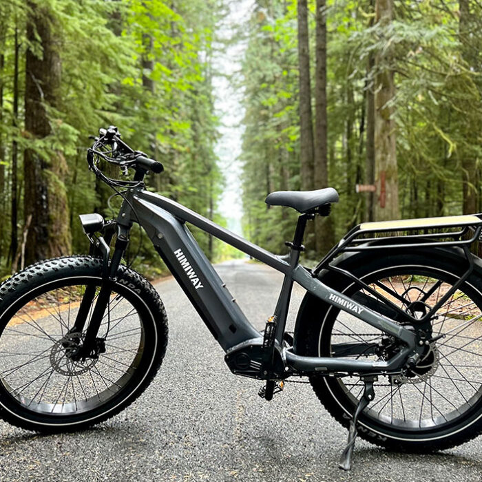 Himiway Zebra e-bike
