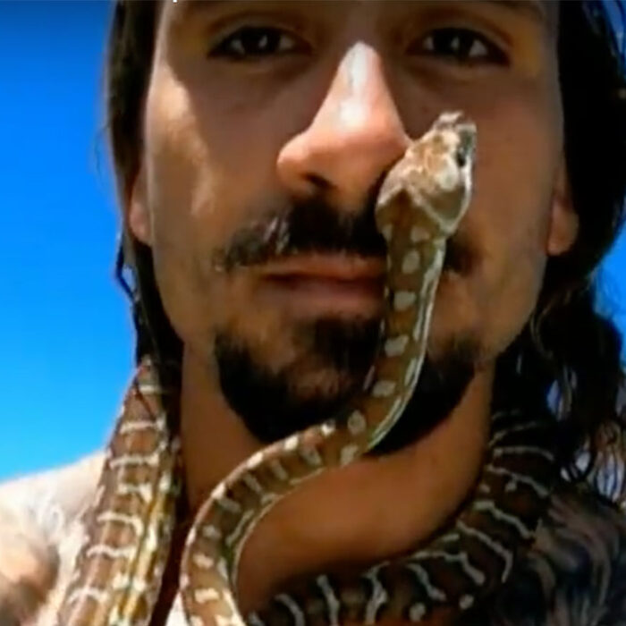 pet python surfing on the Gold Coast