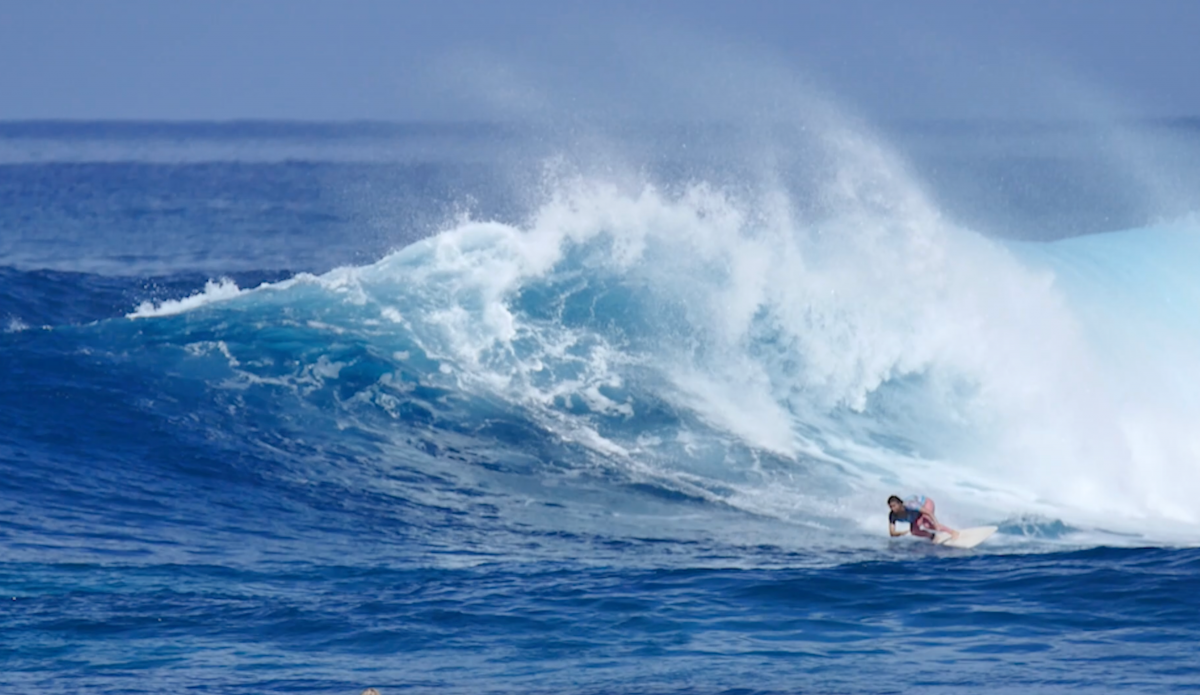 The Board Leah Dawson Loves in Anything From '1-15 Feet': A 6'8" Twin - Vimarsana News