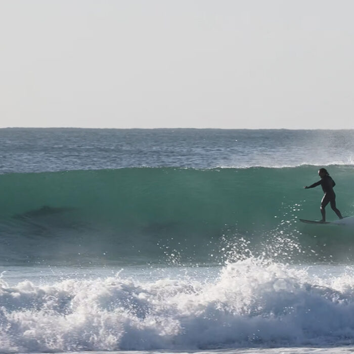 Dolphins share the surfing lineup at J-Bay. Photo: JBAY TV // YouTube
