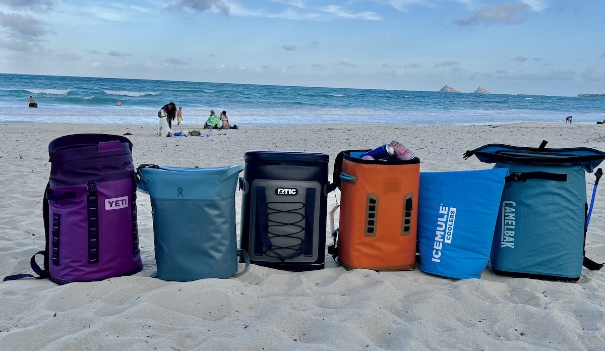 The Best Backpack Coolers of 2023 - Vimarsana News