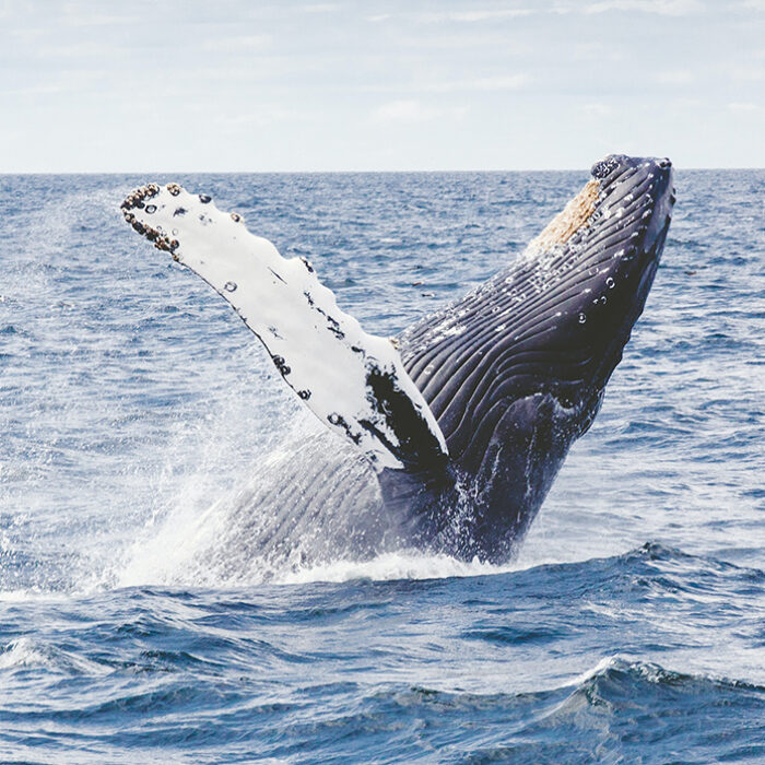 Photo: Thomas Kelley // Unsplash