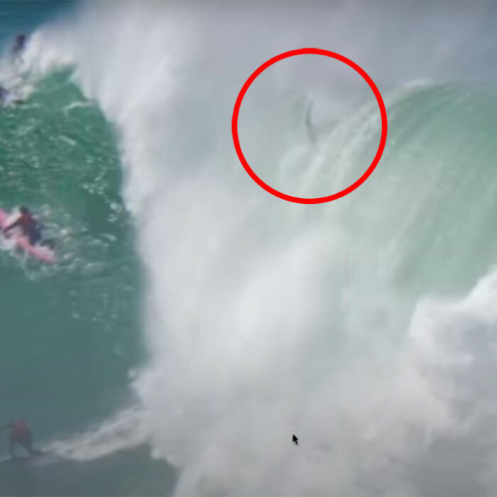 This Is What It Looks Like to Go Over the Falls on a 30-Foot Wave at Maverick's
