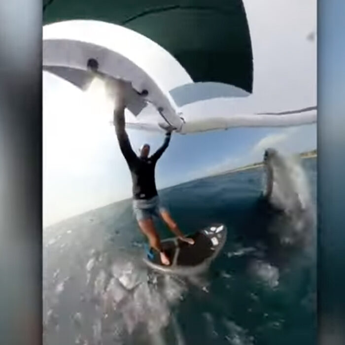 Photo: 7 News Australia // YouTube